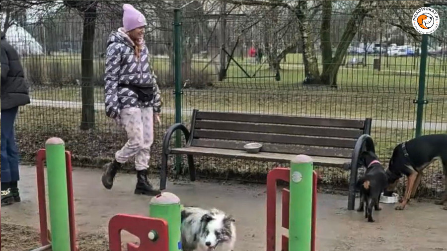 Wybieg dla psów — Park Górczewska